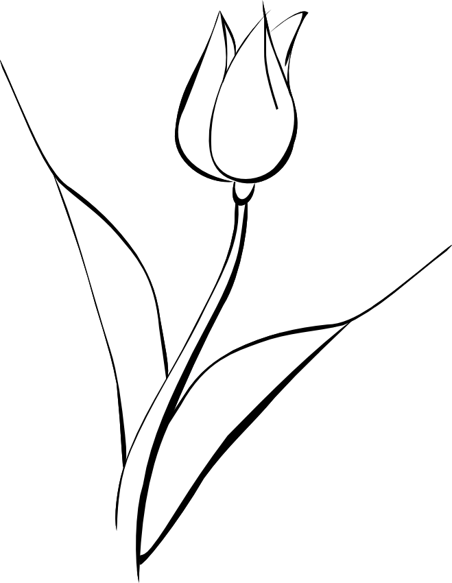 tulip clip art free black and white - photo #12