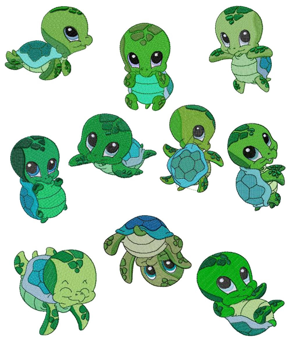 baby turtle clipart - photo #39