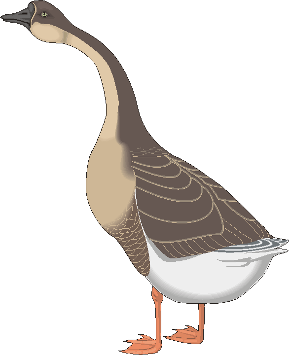 clipart of a goose - photo #12
