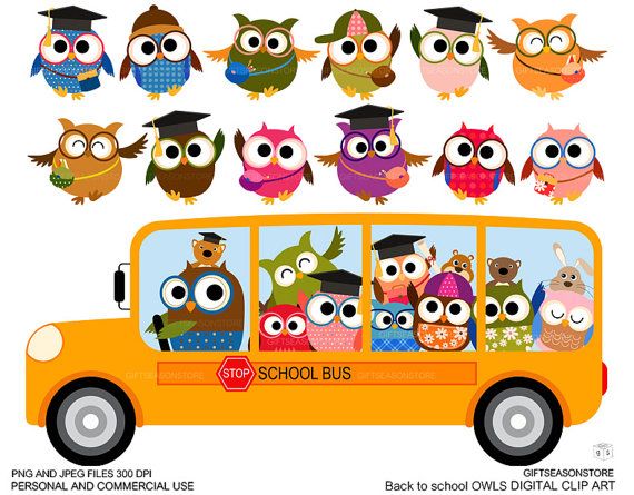 Back to school owl clip art for personal and commercial use