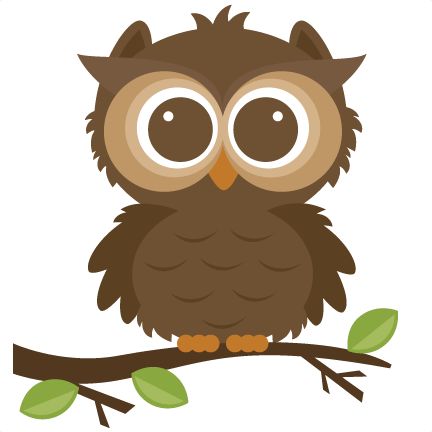 Owls on owl clip art owl and cartoon owls
