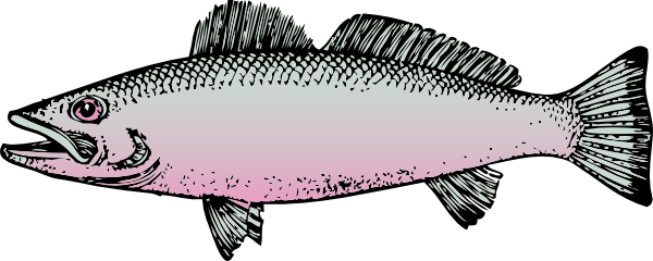 Fish clip art free vector