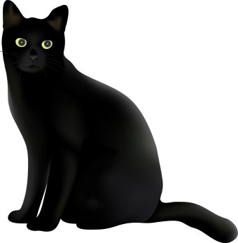 Halloween black cat clipart