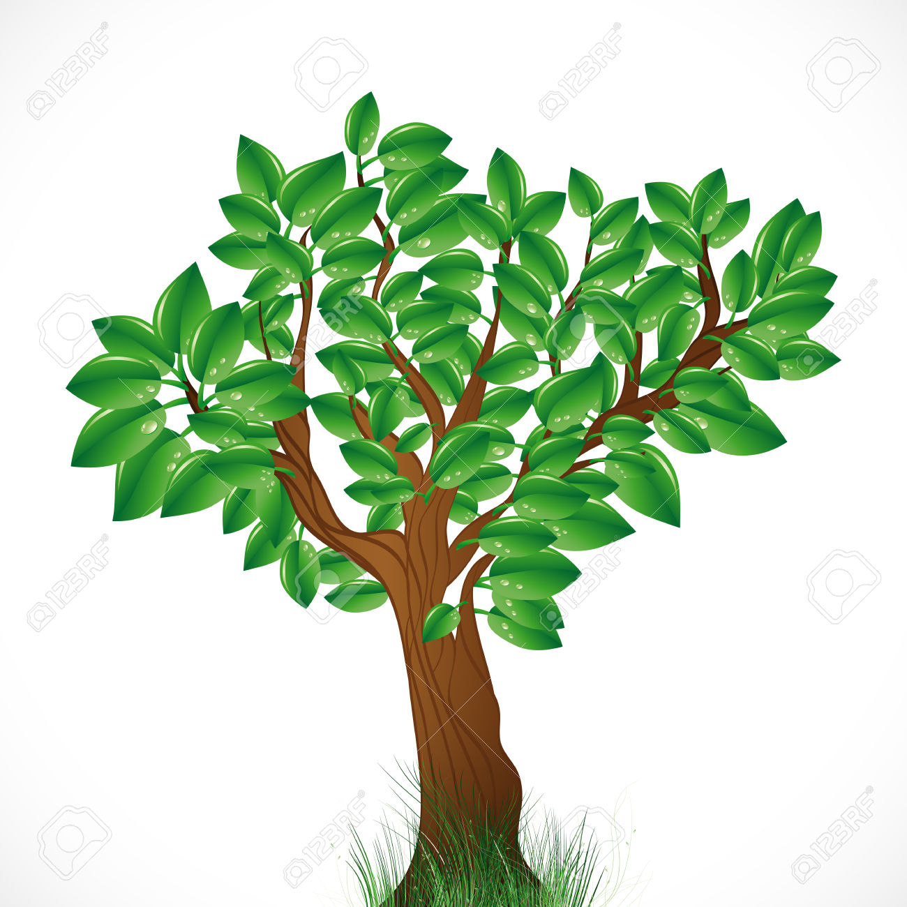 Natural background with green tree and grass royalty free