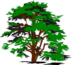 Simple tree clip art at vector clip art online