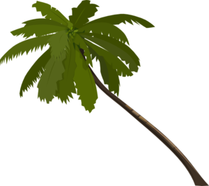 Alone palm tree clip art at vector clip art online