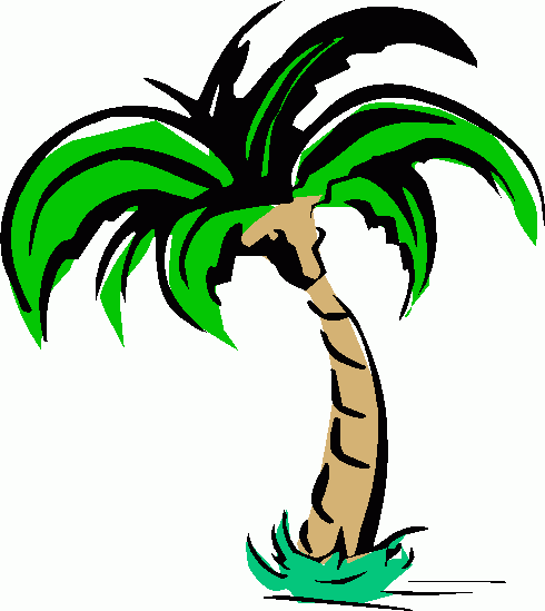 Cartoon palm tree clip art clipart