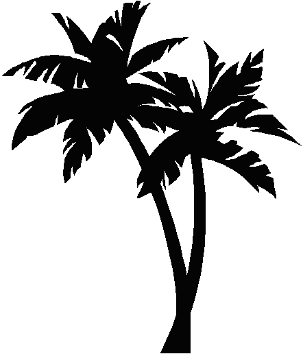 Cartoon palm tree images