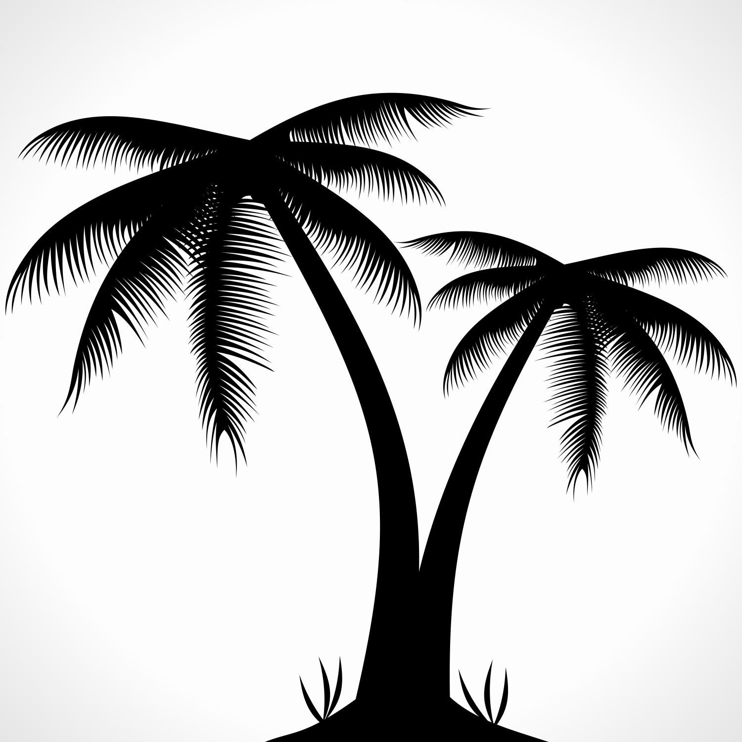 Palm tree beach vector clipart