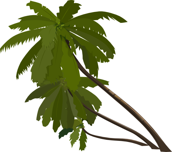 Palm tree clip art  3