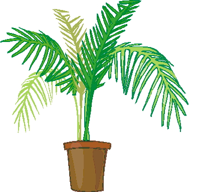 Palm tree clip art 5