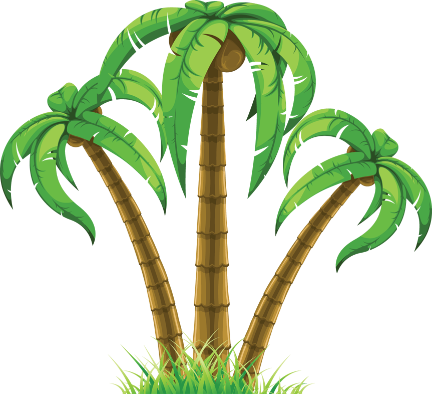 Palm tree clip art clipart