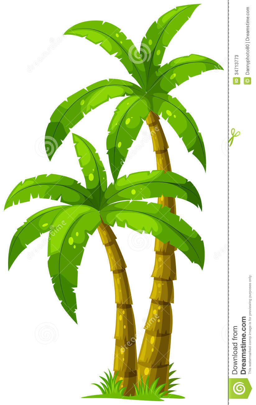Schoenspuzzle coconut palm tree clip art picture images