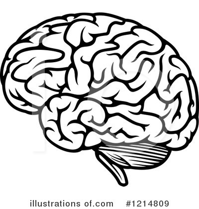 Brain clipart 9 illustration by seamartini graphics
