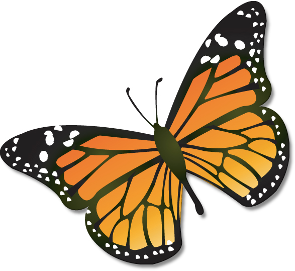 Butterfly 4 clip art download