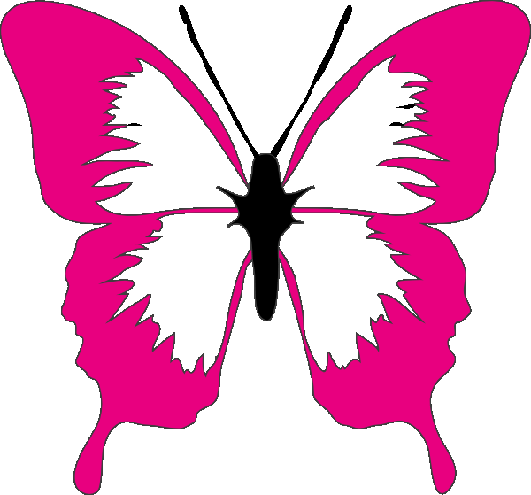 Butterfly clip art pictures clipart