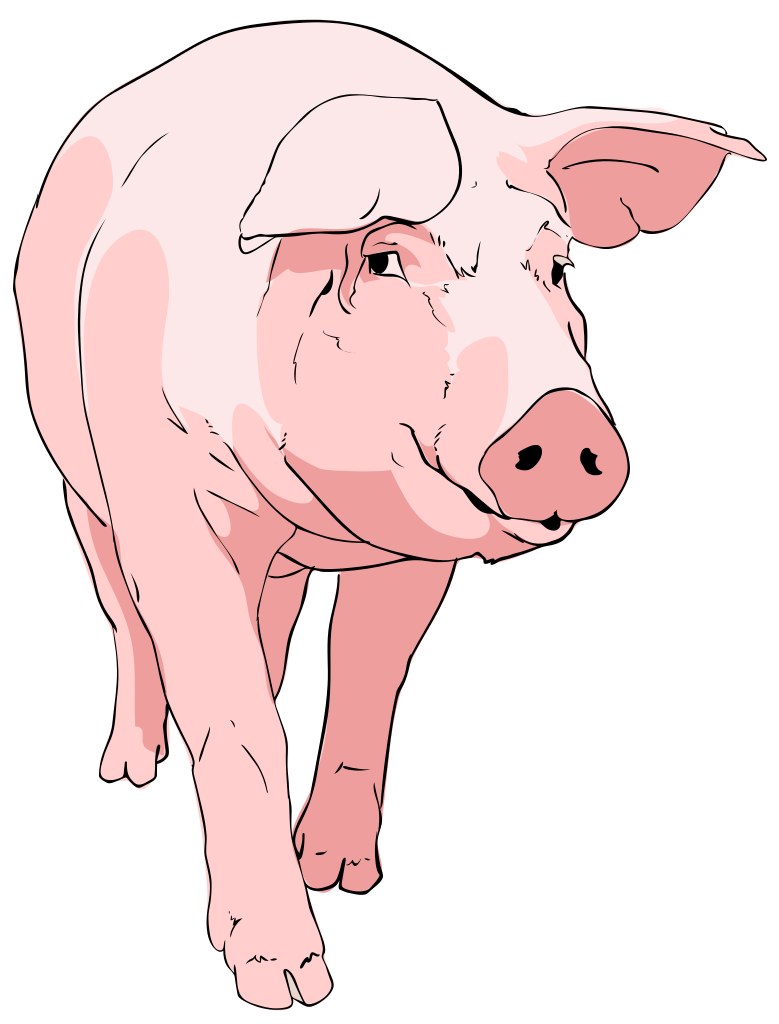 File pig clipart svg commons