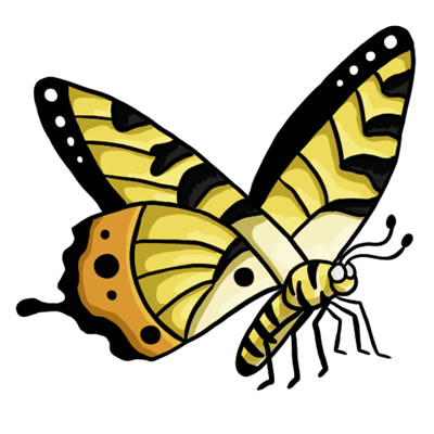 Free butterfly clip art drawings and colorful images 2