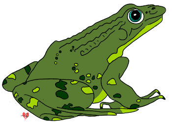Free frog clipart echo