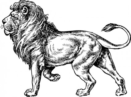 Lion clip art free vector in open office drawing svg svg