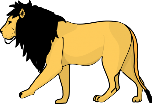 Lion clipart one isolated stock photo by