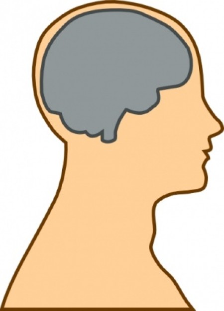 Medical diagram of brain clip art download free vector clipart