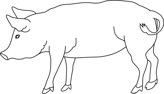 Pig coloring page free clip art
