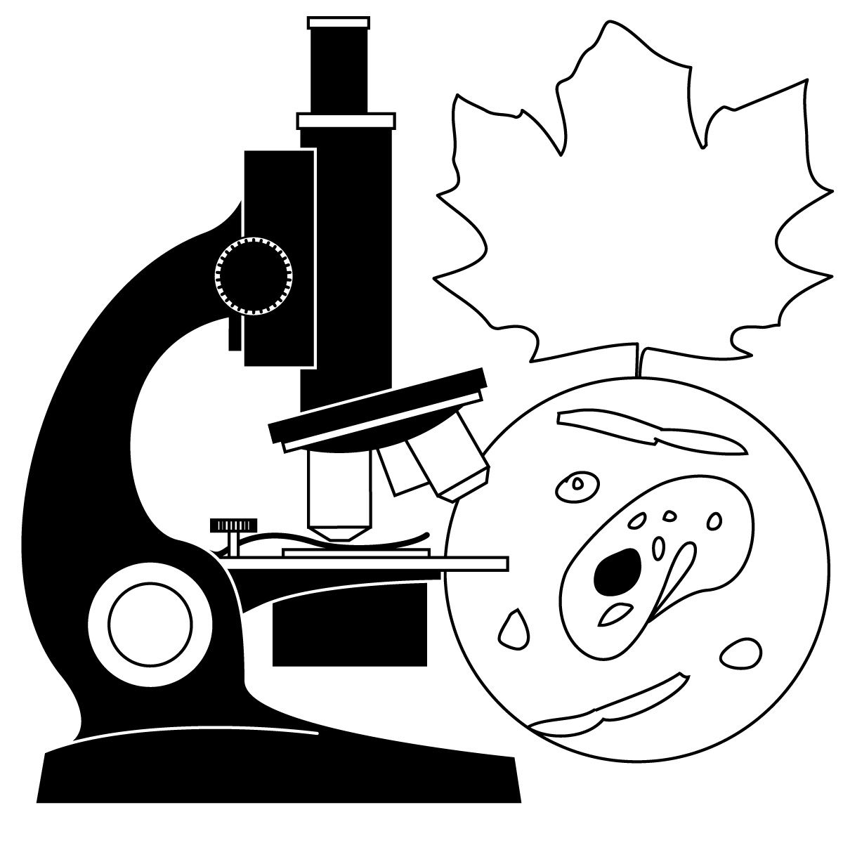 Science clipart clipart 2