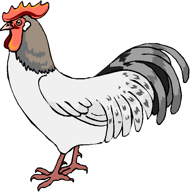 Concept design home free chicken clipart pictures