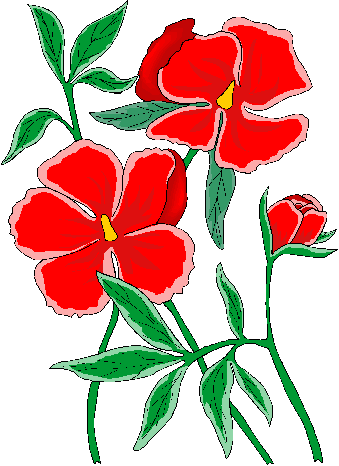 Free clipart flower clipart food clipart animal clipart