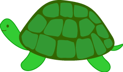 Clipart of a turtle clipart
