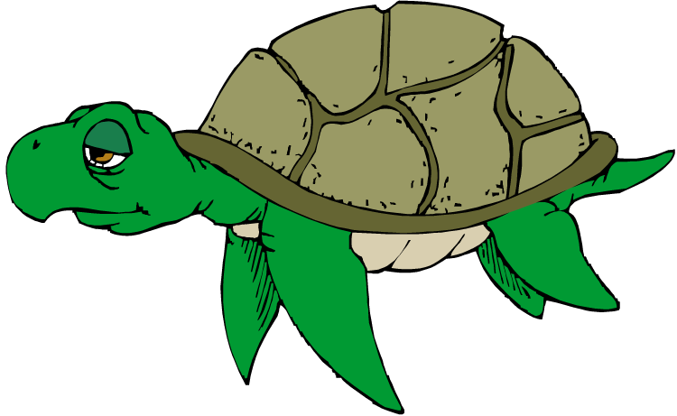 Free turtle clipart