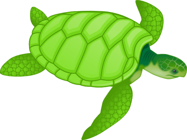 Green sea turtle clip art at vector clip art online