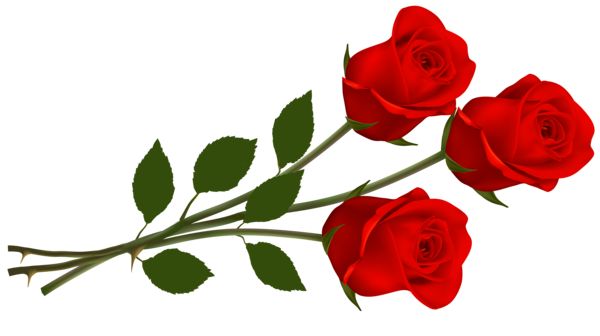 Large red roses clipart roses for you red