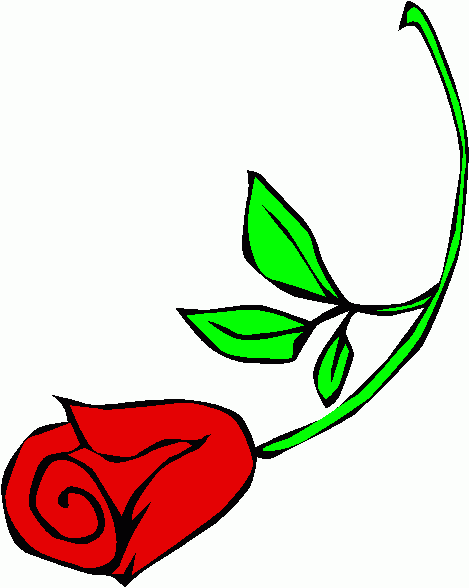 Rose clip art clipart