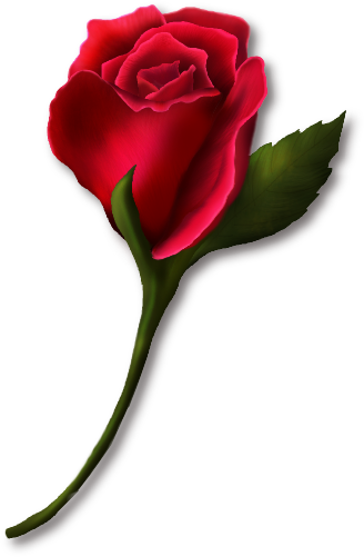 Single rose clip art free clipart images