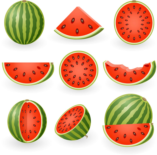 Watermelon clip art free vector 4vector