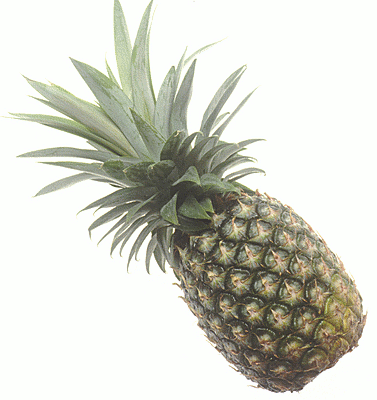 Free pineapple clipart 1 page of public domain clip art