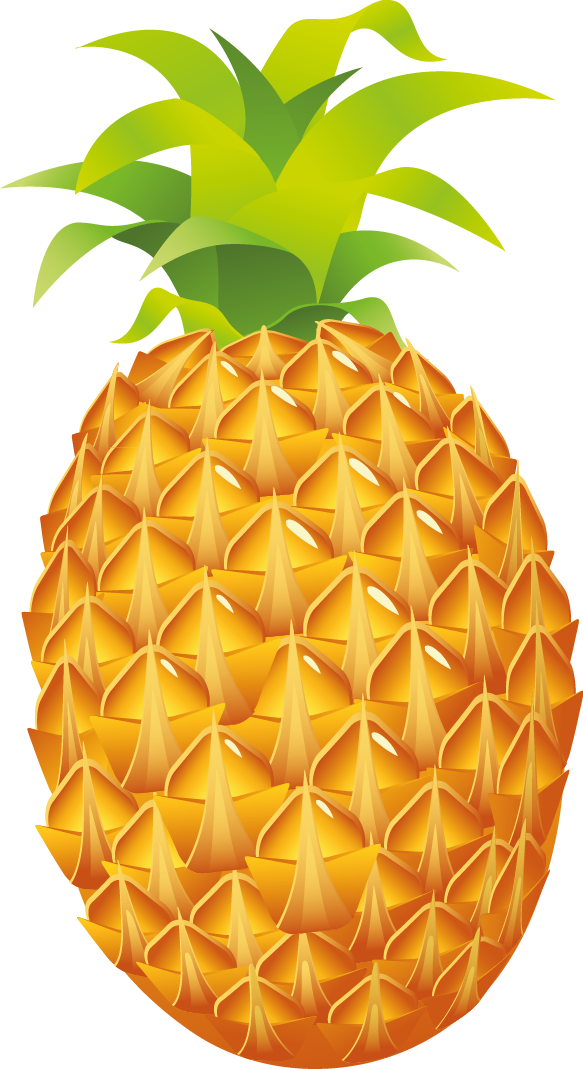Pineapple clip art  2