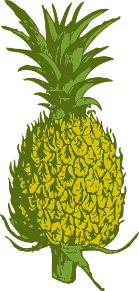 Pineapple clip art at vector clip art online royalty