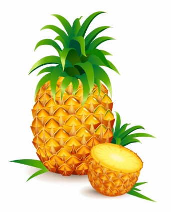 Pineapple clip art download