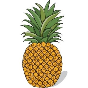 Pineapple clipart image whole pineapple fruit polyvore