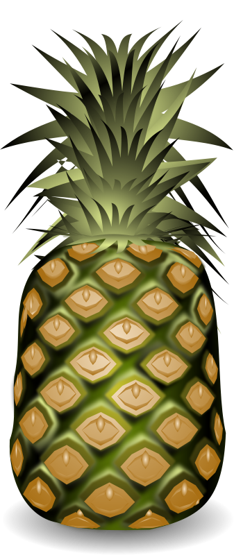 Pineapple fruits clip art 