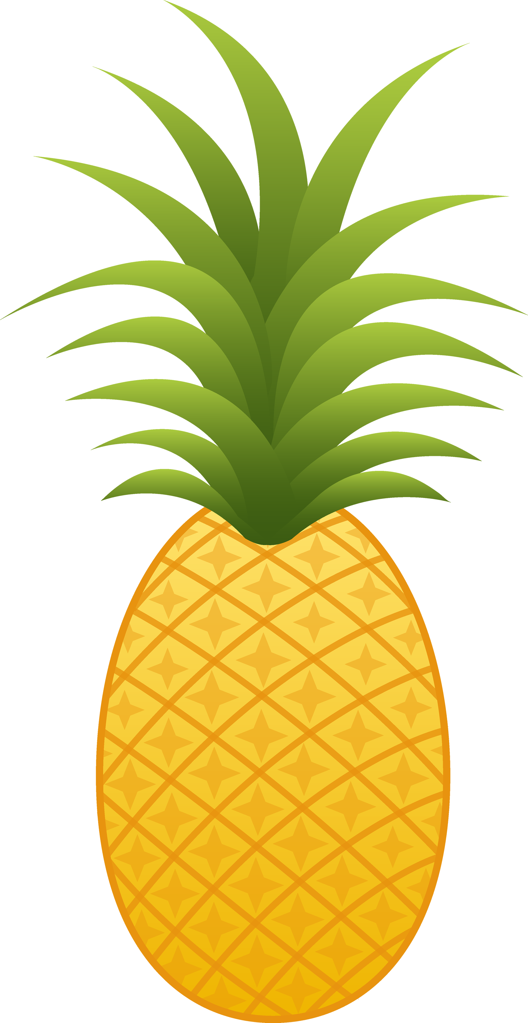 Pineapple images free pictures download 3