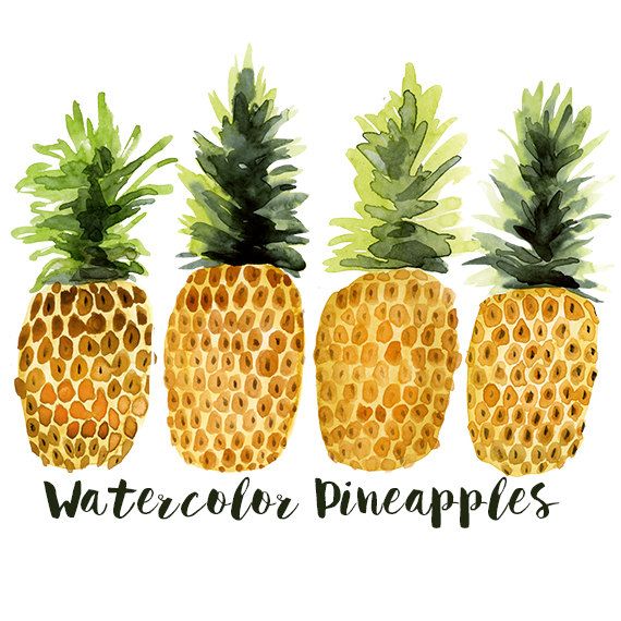 Watercolor pineapples clip art set commercial use pineapple