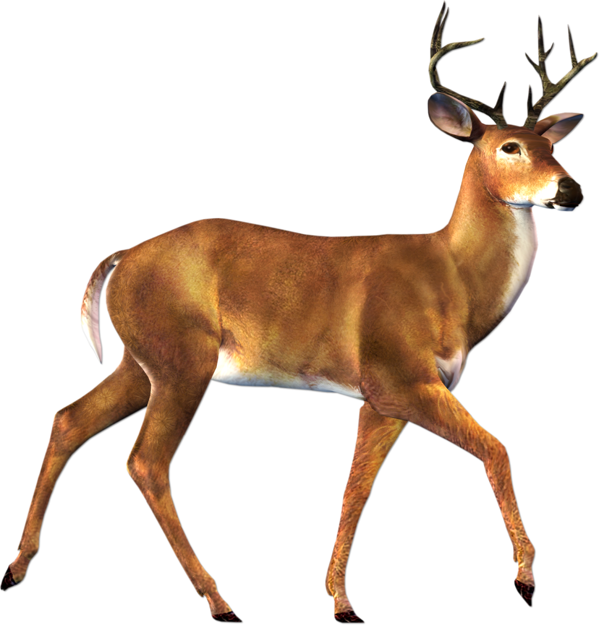 Animal clipart deer