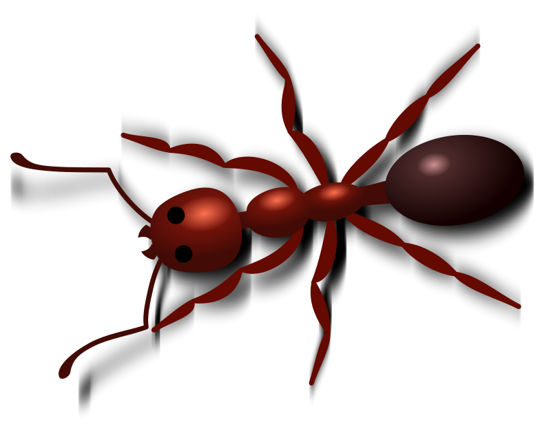 Ant clip art 