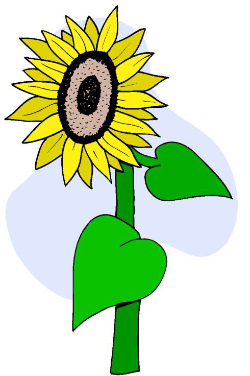 Clip art clip art sunflower 3