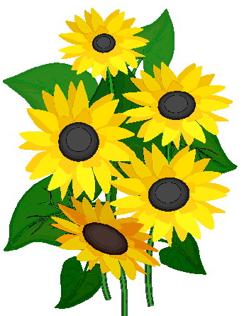 Clip art clip art sunflower