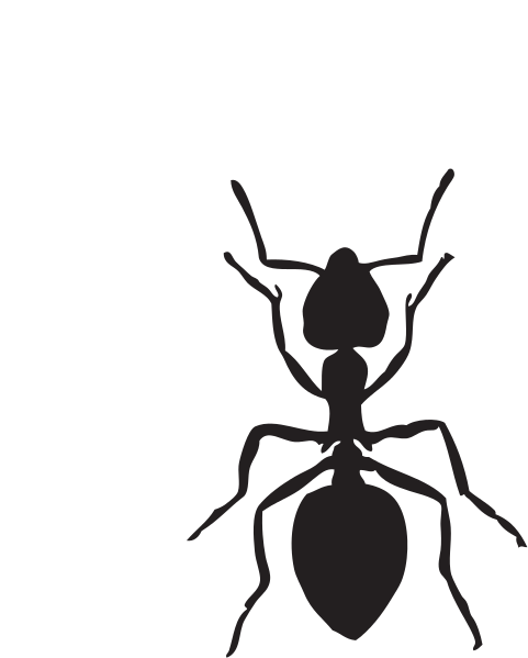 File ant clipart svg commons